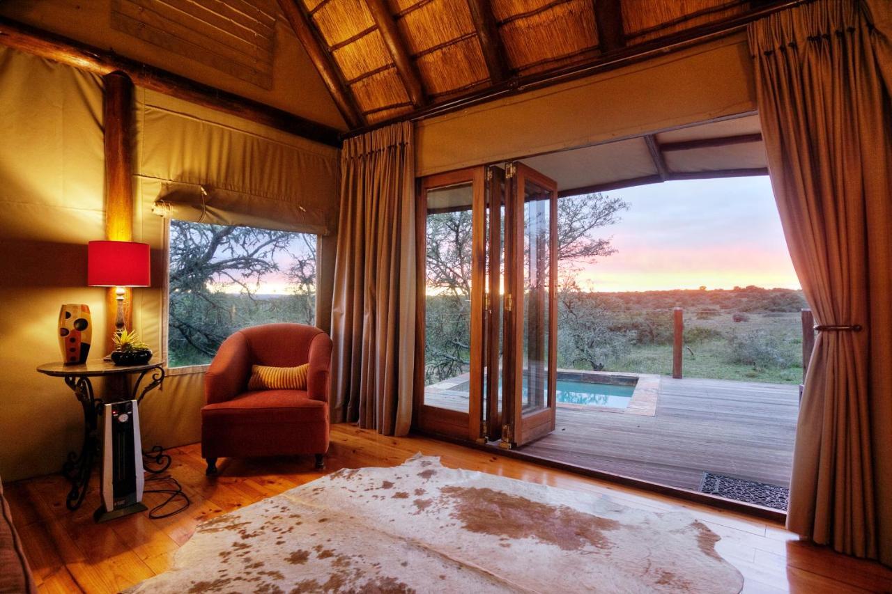 Bush Lodge - Amakhala Game Reserve Ngoại thất bức ảnh