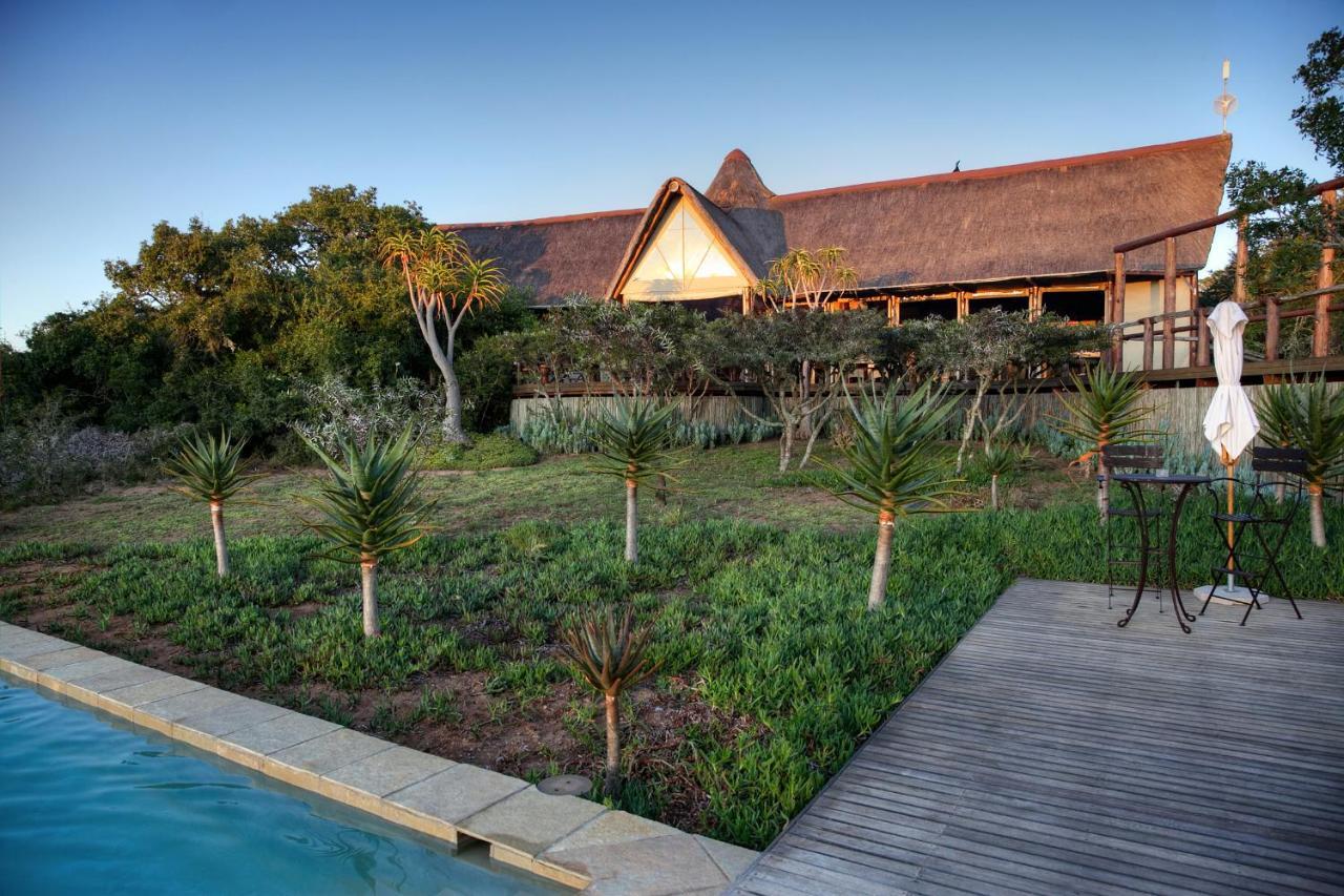 Bush Lodge - Amakhala Game Reserve Ngoại thất bức ảnh