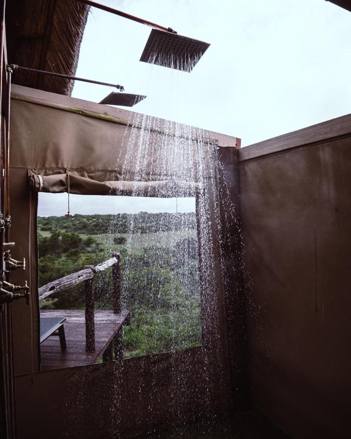 Bush Lodge - Amakhala Game Reserve Ngoại thất bức ảnh