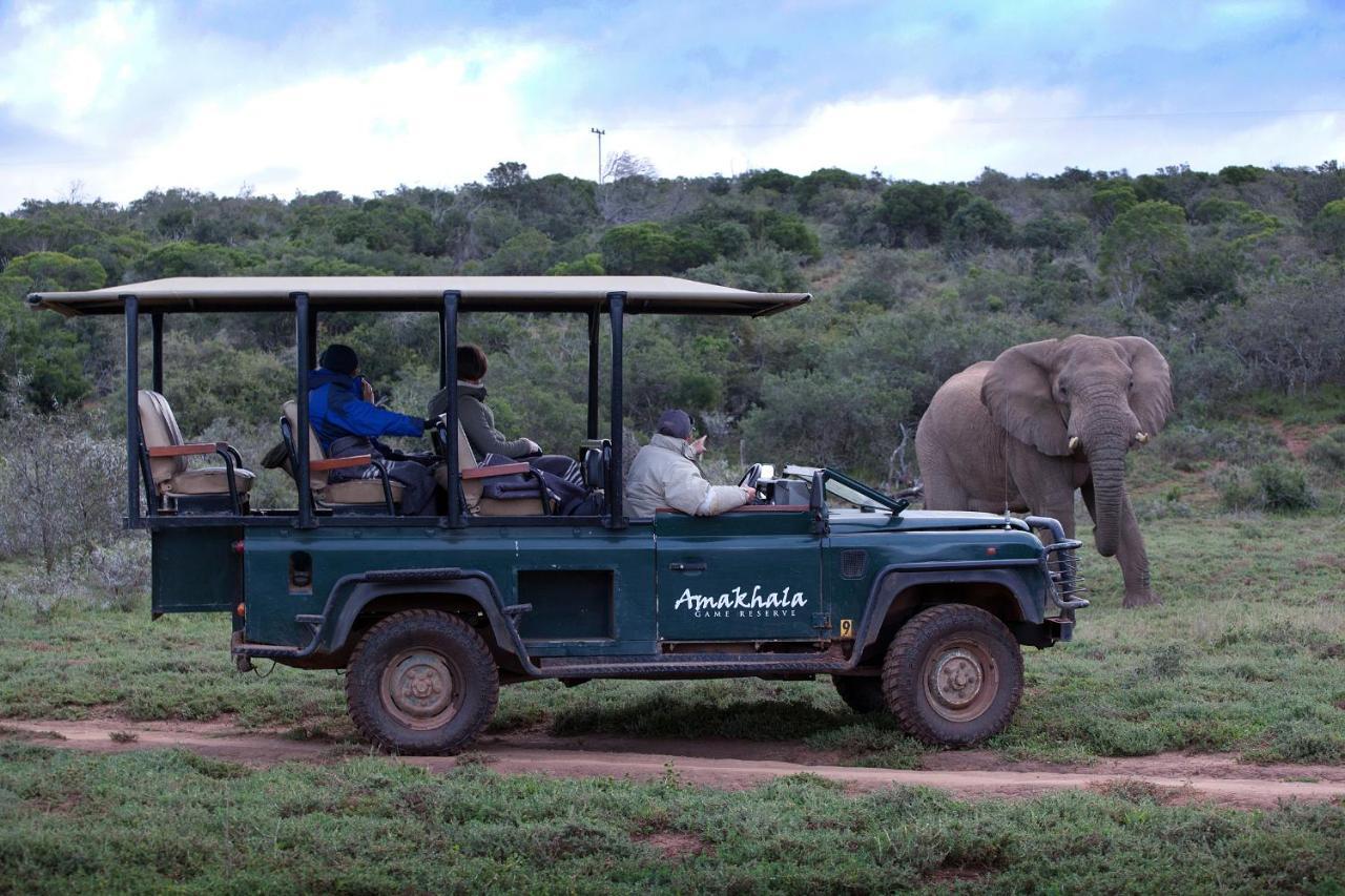 Bush Lodge - Amakhala Game Reserve Ngoại thất bức ảnh