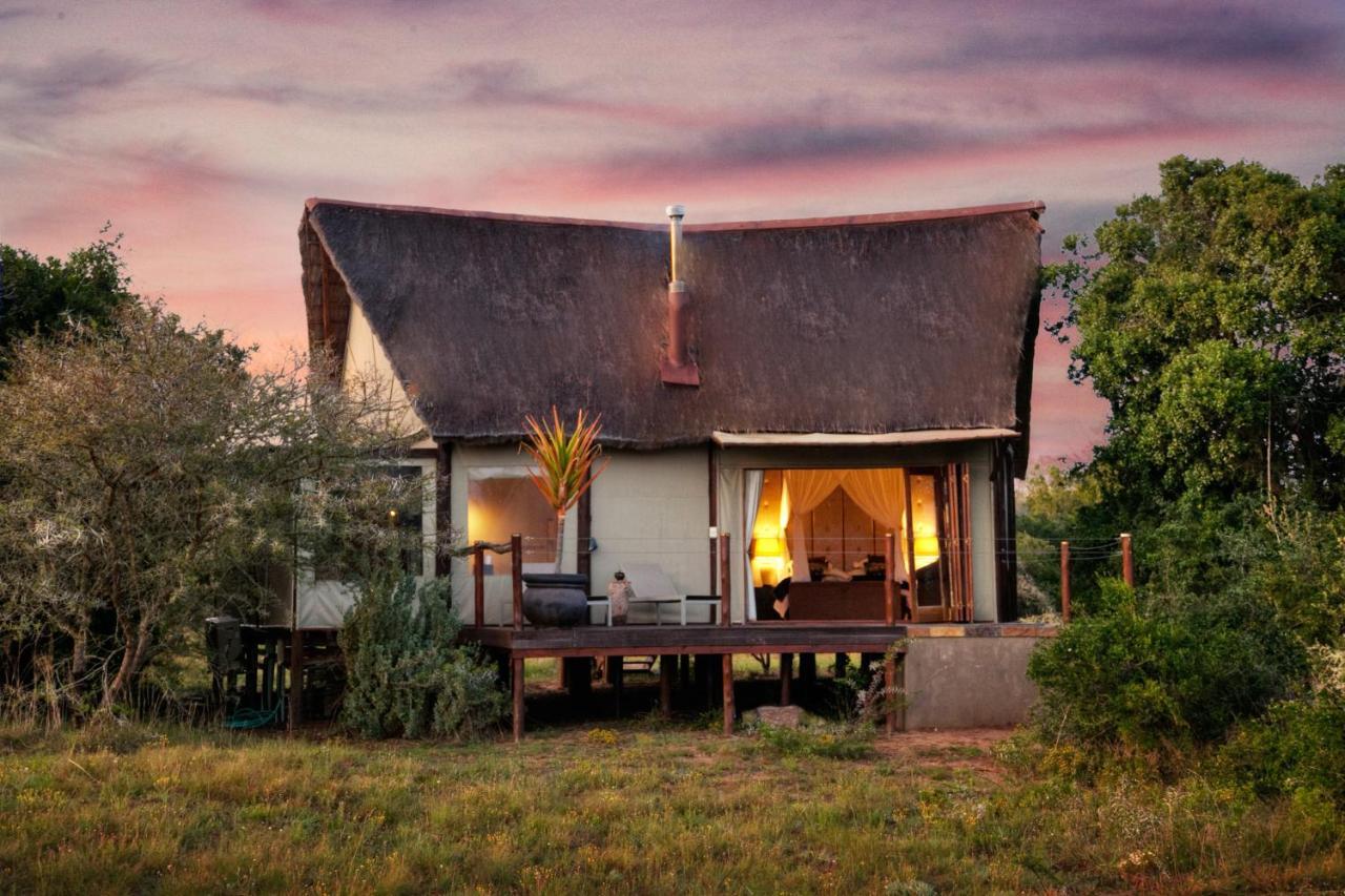Bush Lodge - Amakhala Game Reserve Ngoại thất bức ảnh