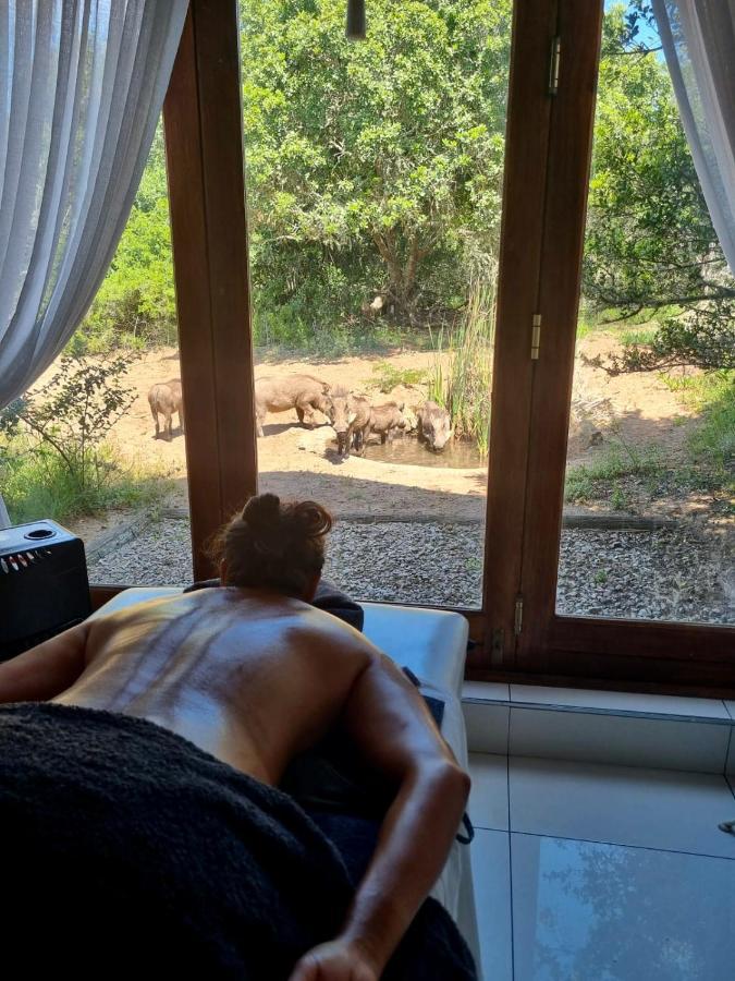 Bush Lodge - Amakhala Game Reserve Ngoại thất bức ảnh