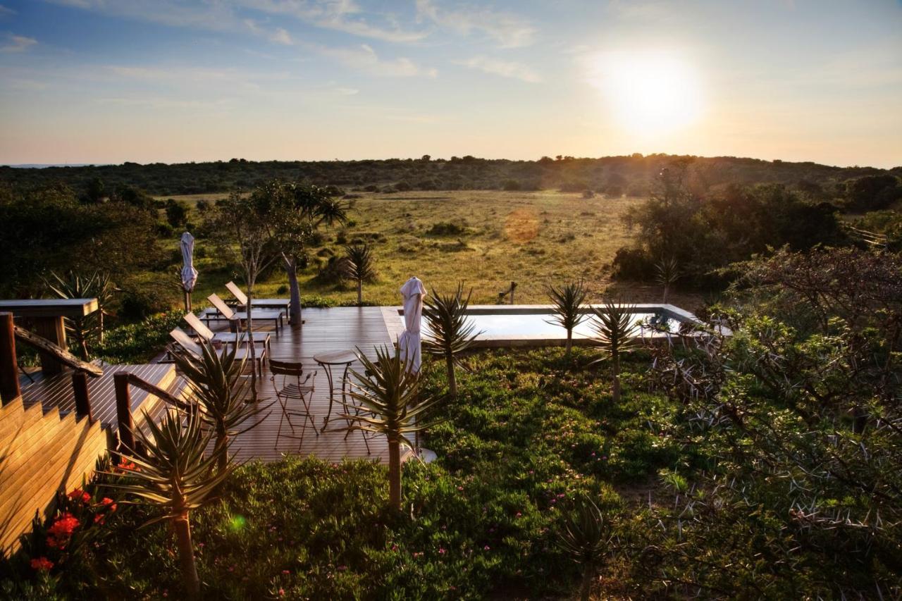 Bush Lodge - Amakhala Game Reserve Ngoại thất bức ảnh