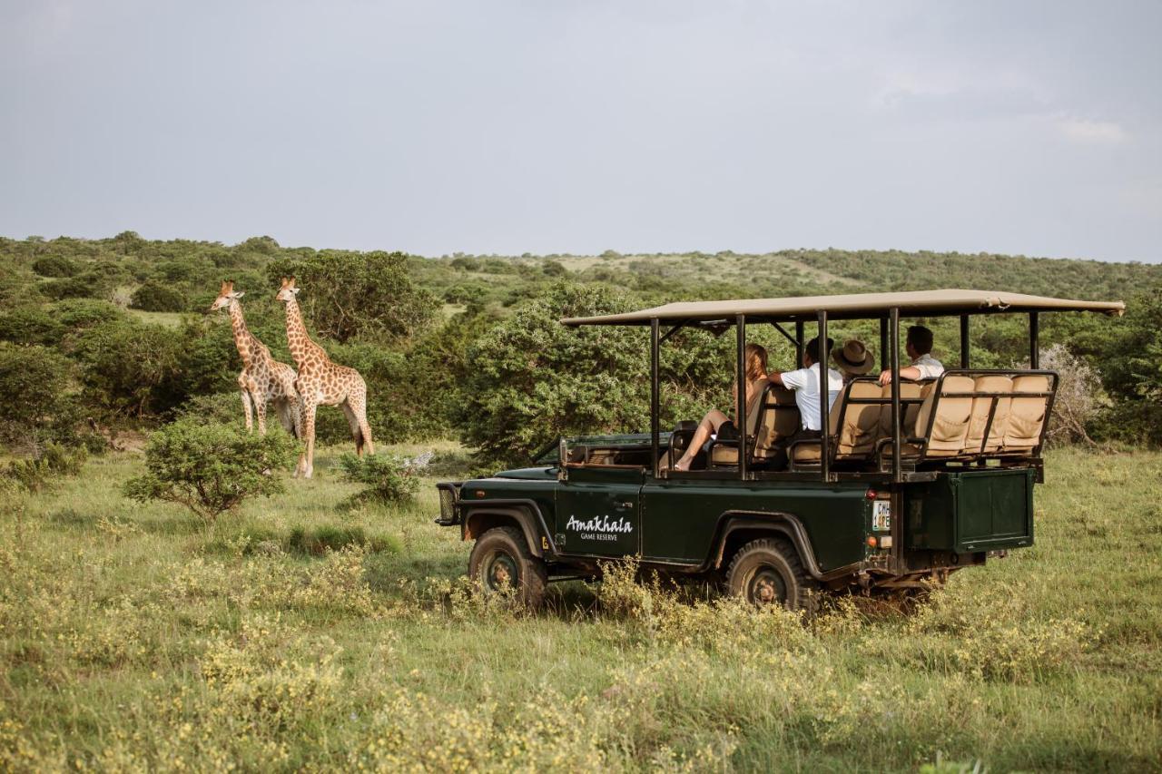 Bush Lodge - Amakhala Game Reserve Ngoại thất bức ảnh
