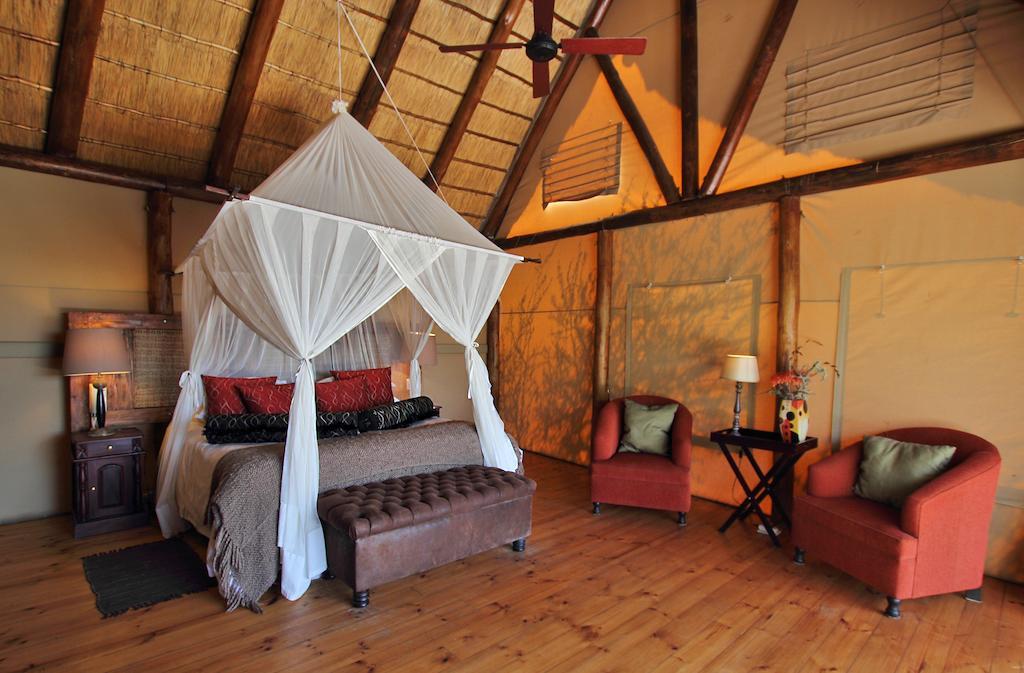 Bush Lodge - Amakhala Game Reserve Ngoại thất bức ảnh