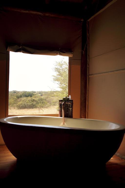 Bush Lodge - Amakhala Game Reserve Ngoại thất bức ảnh