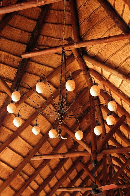 Bush Lodge - Amakhala Game Reserve Ngoại thất bức ảnh