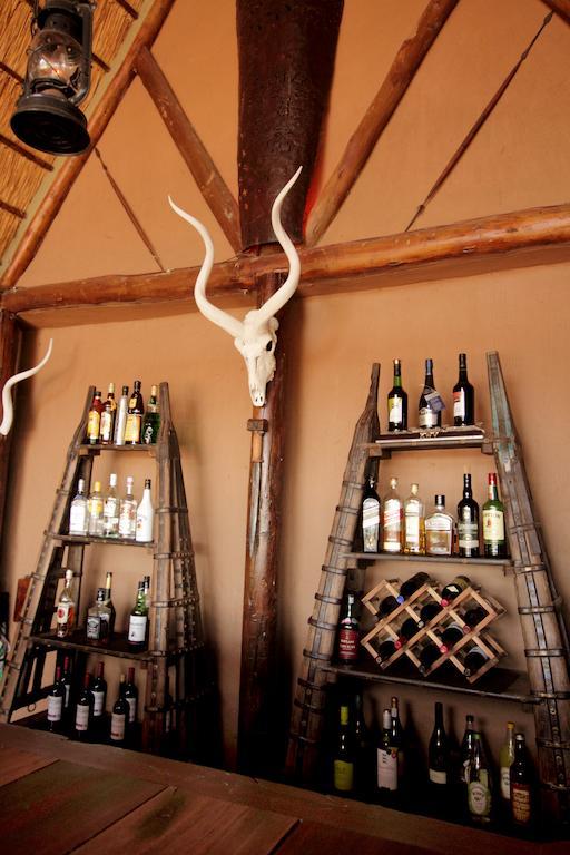 Bush Lodge - Amakhala Game Reserve Ngoại thất bức ảnh