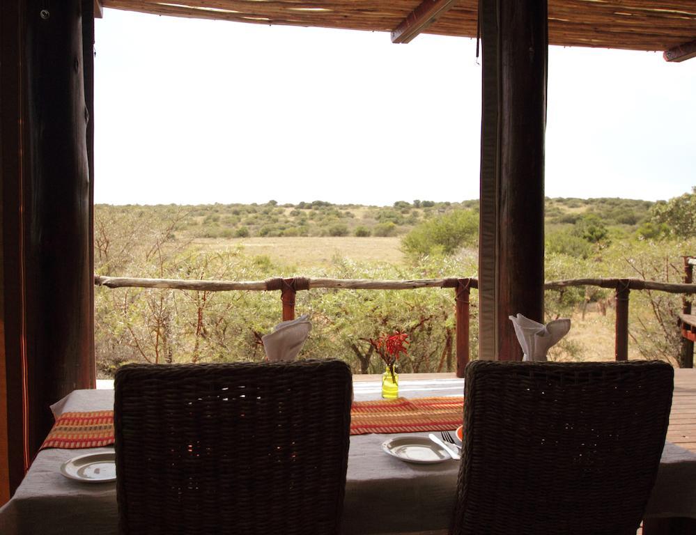 Bush Lodge - Amakhala Game Reserve Ngoại thất bức ảnh