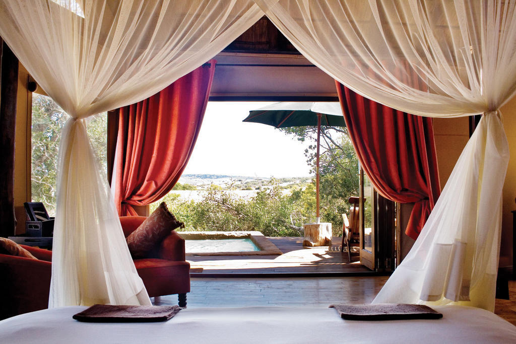 Bush Lodge - Amakhala Game Reserve Phòng bức ảnh