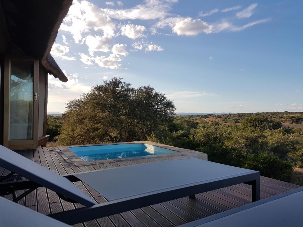 Bush Lodge - Amakhala Game Reserve Ngoại thất bức ảnh